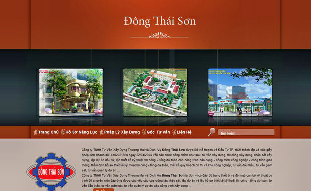 thiet ke web dong thai son