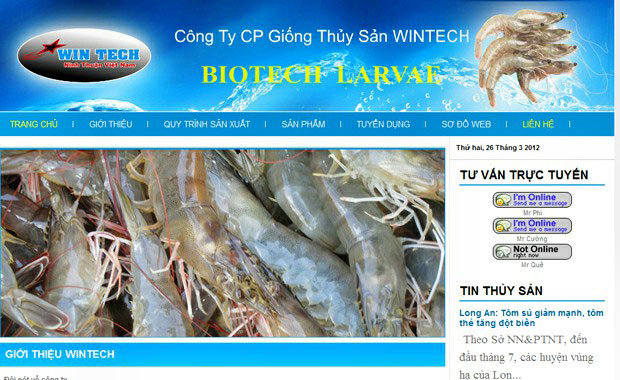thit-k-web-cong-ty-cp-ging-thy-sn-wintech