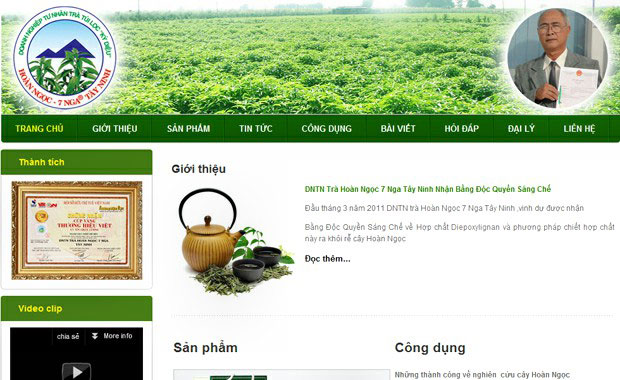 thiet ke web tra hoan ngoc